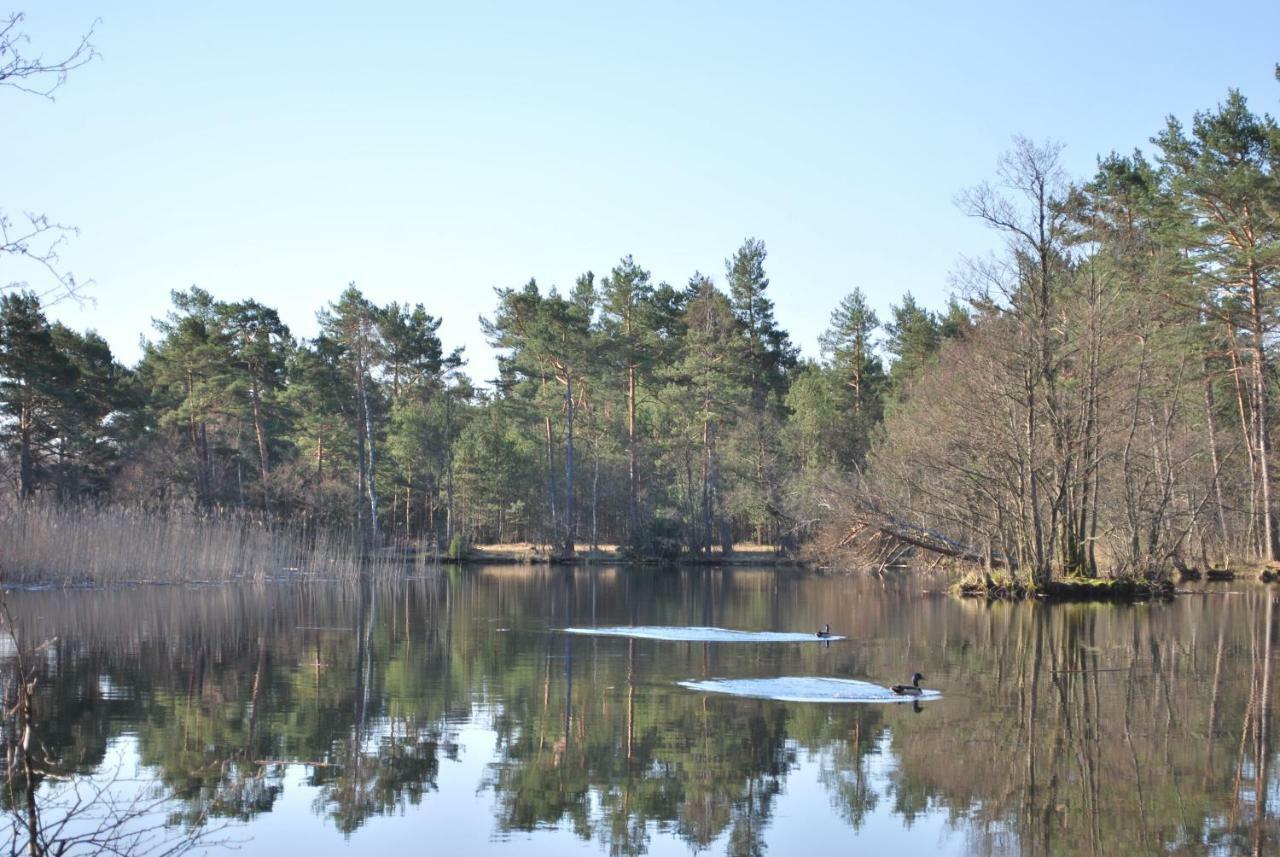 Zurawie Letniskowe Holiday home Kopalino